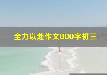 全力以赴作文800字初三