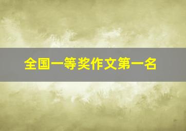 全国一等奖作文第一名