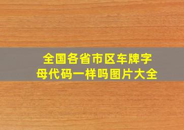 全国各省市区车牌字母代码一样吗图片大全