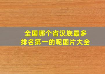 全国哪个省汉族最多排名第一的呢图片大全