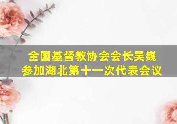 全国基督教协会会长吴巍参加湖北第十一次代表会议