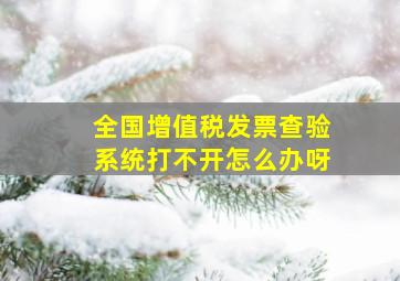 全国增值税发票查验系统打不开怎么办呀