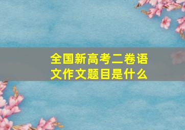 全国新高考二卷语文作文题目是什么