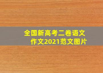 全国新高考二卷语文作文2021范文图片