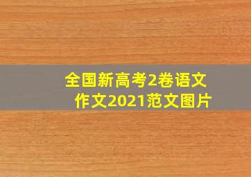 全国新高考2卷语文作文2021范文图片