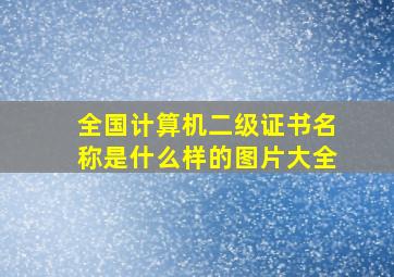 全国计算机二级证书名称是什么样的图片大全