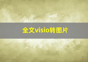 全文visio转图片