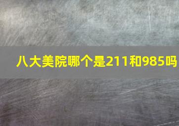 八大美院哪个是211和985吗