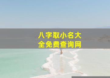 八字取小名大全免费查询网