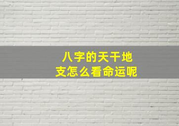 八字的天干地支怎么看命运呢