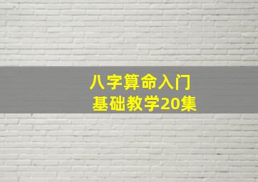 八字算命入门基础教学20集