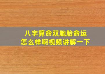 八字算命双胞胎命运怎么样啊视频讲解一下