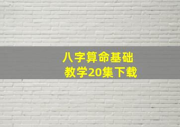 八字算命基础教学20集下载