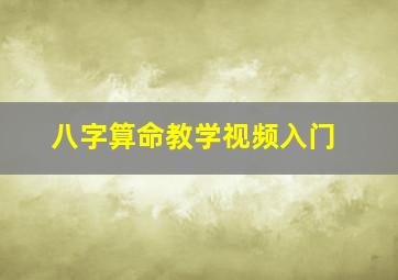 八字算命教学视频入门