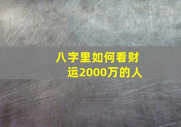 八字里如何看财运2000万的人