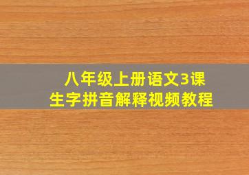 八年级上册语文3课生字拼音解释视频教程