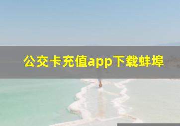 公交卡充值app下载蚌埠