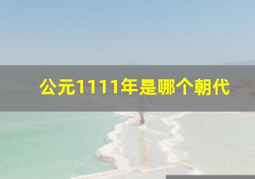 公元1111年是哪个朝代