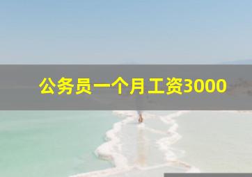 公务员一个月工资3000