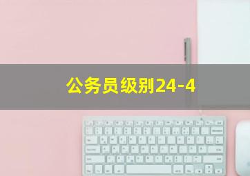 公务员级别24-4