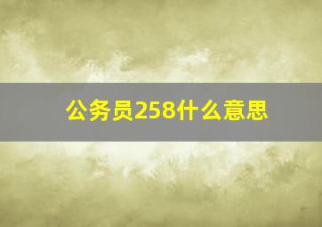 公务员258什么意思