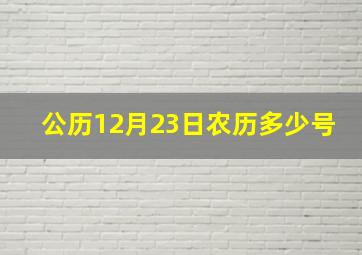 公历12月23日农历多少号