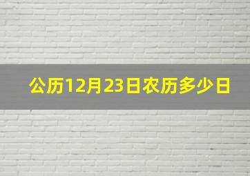 公历12月23日农历多少日