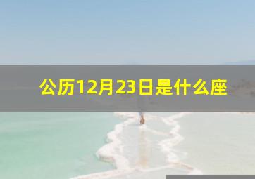 公历12月23日是什么座