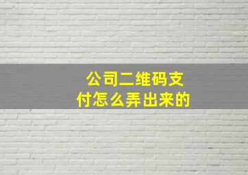 公司二维码支付怎么弄出来的