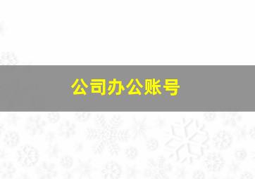 公司办公账号