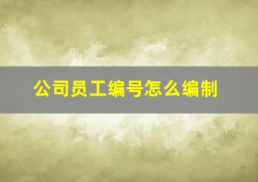 公司员工编号怎么编制