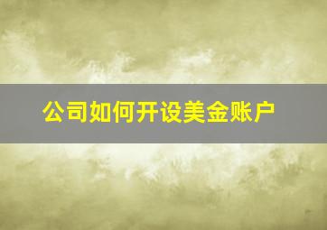 公司如何开设美金账户