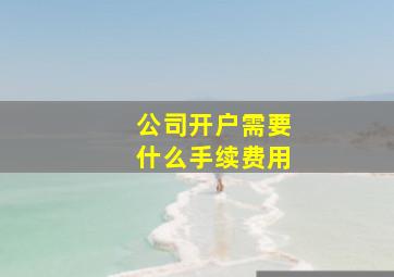 公司开户需要什么手续费用