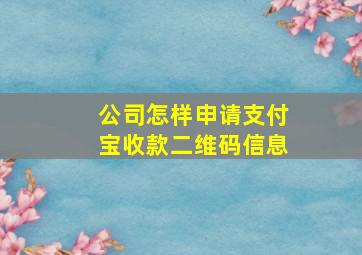 公司怎样申请支付宝收款二维码信息