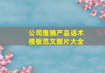 公司推销产品话术模板范文图片大全