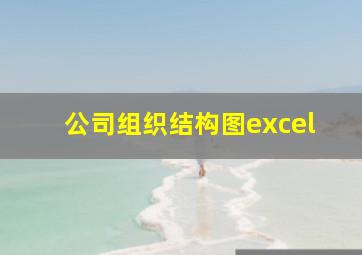 公司组织结构图excel