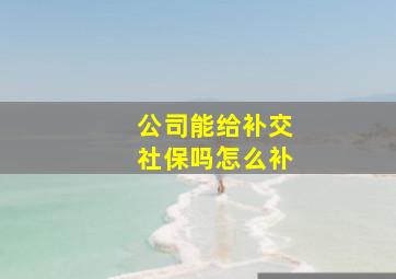 公司能给补交社保吗怎么补