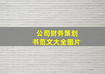 公司财务策划书范文大全图片