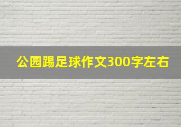 公园踢足球作文300字左右