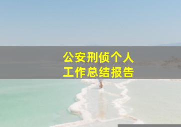 公安刑侦个人工作总结报告