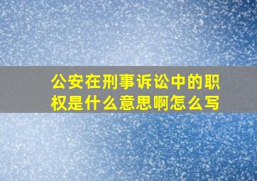 公安在刑事诉讼中的职权是什么意思啊怎么写