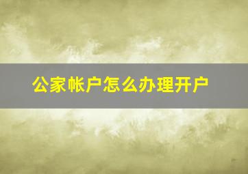 公家帐户怎么办理开户