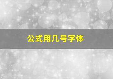 公式用几号字体