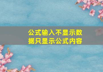 公式输入不显示数据只显示公式内容