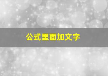 公式里面加文字