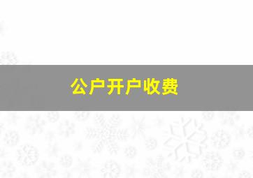 公户开户收费