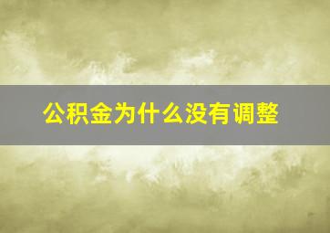 公积金为什么没有调整