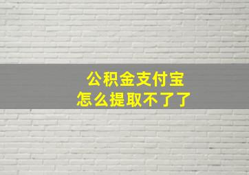 公积金支付宝怎么提取不了了