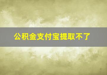 公积金支付宝提取不了