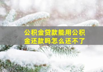 公积金贷款能用公积金还款吗怎么还不了